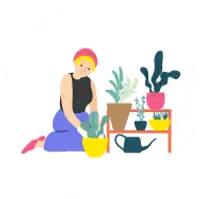 illustration pratiques